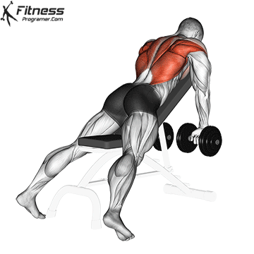 45 Degree Incline Dumbbell Row