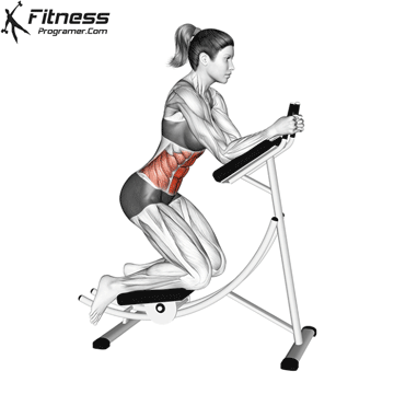 Ab Coaster Machine