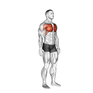 Above Head Chest Stretch