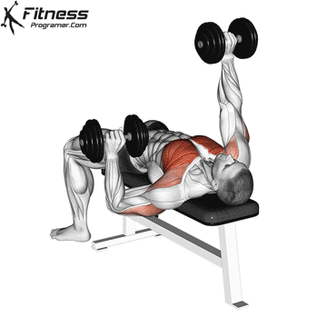 Alternate Dumbbell Bench Press