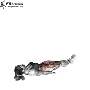 Alternate Lying Floor Leg Raise