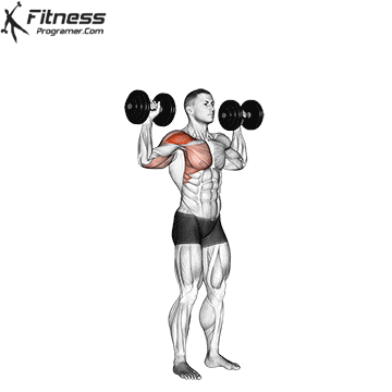 Alternating Dumbbell One Arm Shoulder Press