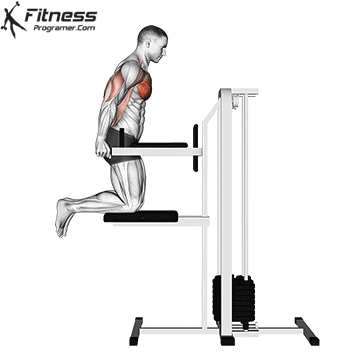 Assisted Chest Dip