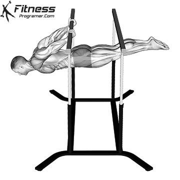 Back Lever