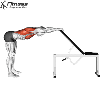 chest stretch for Cooldown Exercises