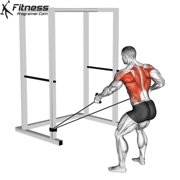 Band Alternating Low Row with Twist
