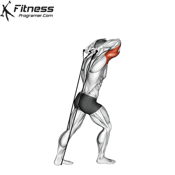 Banded Overhead Triceps Extension
