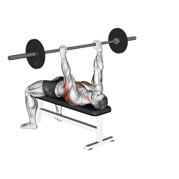 Barbell Pullover