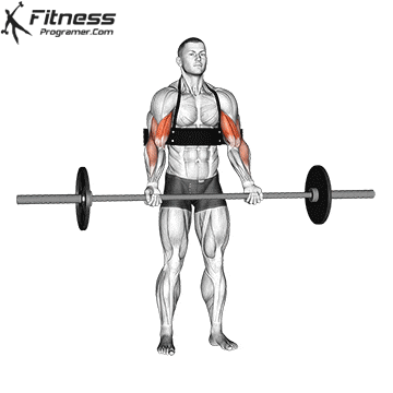 Barbell Curl On Arm Blaster