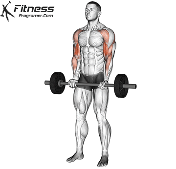 Barbell Drag Curl