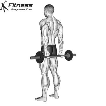 Barbell Finger Curl