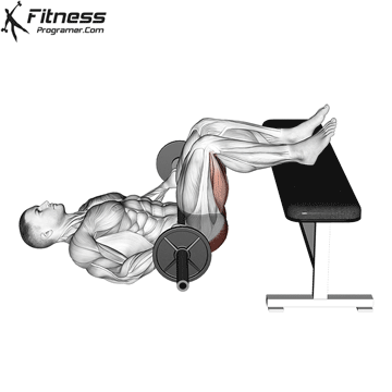 Barbell Glute Bridge On Bench