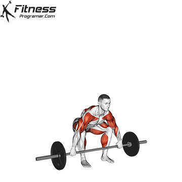 Power Snatch