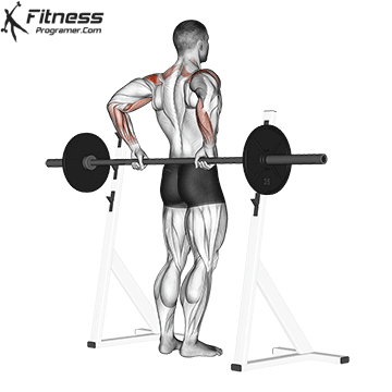 Barbell Rear Delt Raise