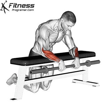 Barbell Reverse Wrist Curl Over a Bench