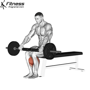 Barbell Seated Calf Raise