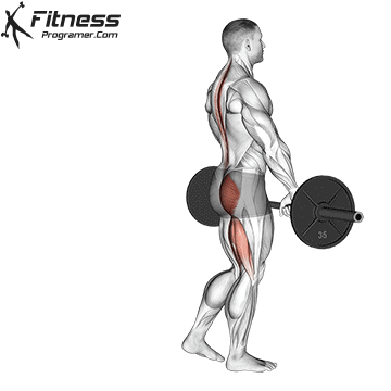 Barbell Single Leg Deadlift