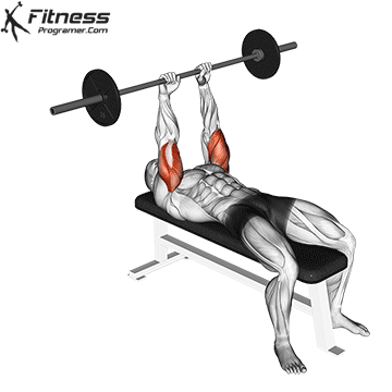 Lying Barbell Triceps Extension