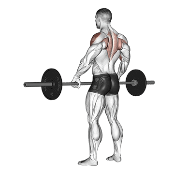 Barbell Upright Row