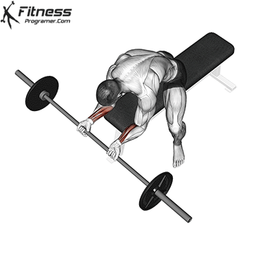 Wrist Curl