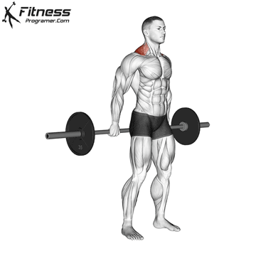 Behind The Back Barbell Shrug