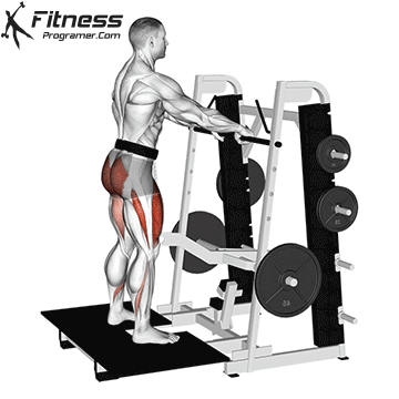 Belt Squat