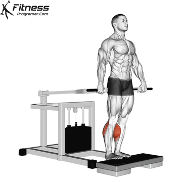 Standing Calf Raise on the Bench Press Machine