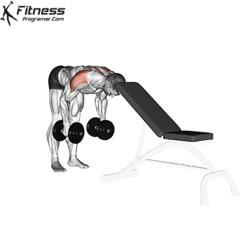 Bent-Over Dumbbell Rear Delt Raise With Head On Bench