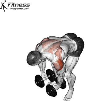 Bent Over Lateral Raise