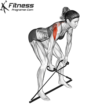 Bent Over Rear Delt Fly | Gymstick