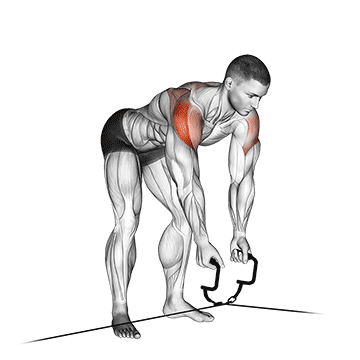 Bent Over Reverse Cable Fly
