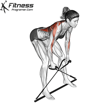 Bent Over Row | Gymstick