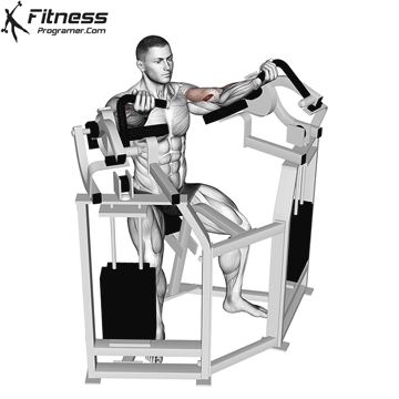 Biceps Curl Machine