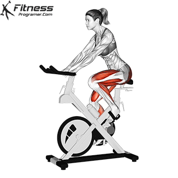 Stationary Bike