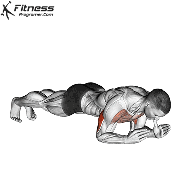 Body Ups