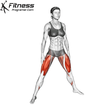 Bodyweight Plie Squat