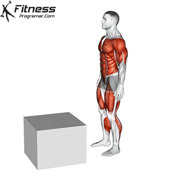 Box Jump 1 to 2