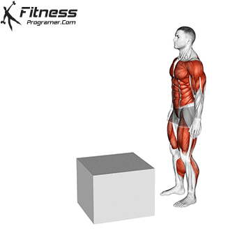 Box Jump 2 to 1