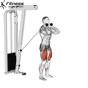 Cable Forward Lunge