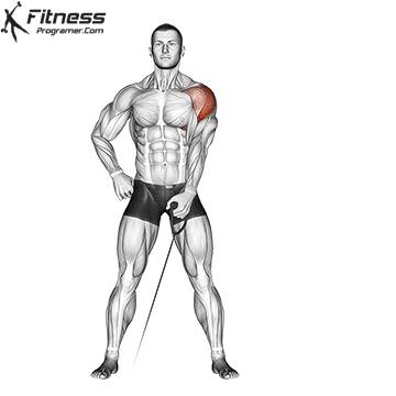 Cable Lateral Raise