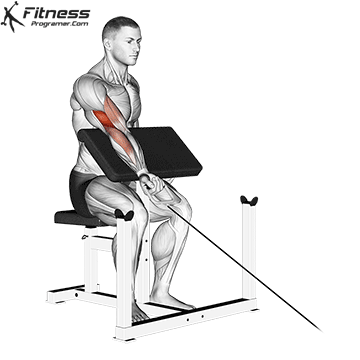 Single Arm Cable Preacher Curl