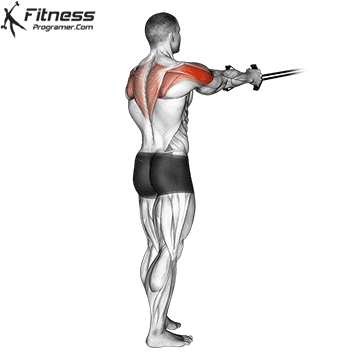 Cable Rear Delt Fly
