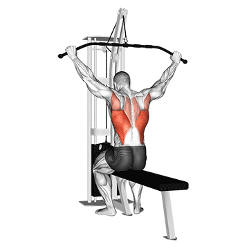 Cable Rear Pulldown