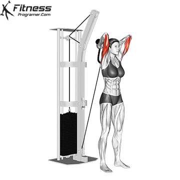 Cable Rope Overhead Triceps Extension
