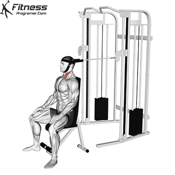 Cable Seated Neck Flexion with head harness