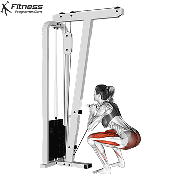 Cable Goblet Squat