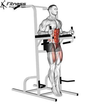 Captains Chair Leg Raise