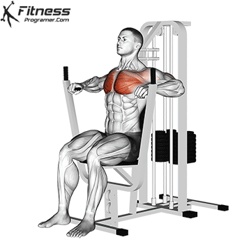 Chest Press Machine