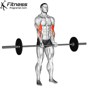 Close Grip Barbell Curl