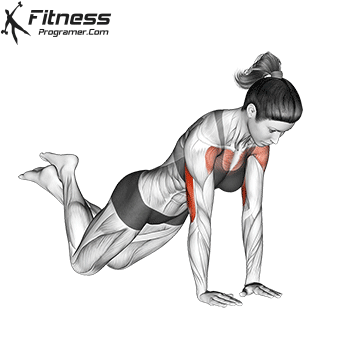 Close Grip Knee Push-up